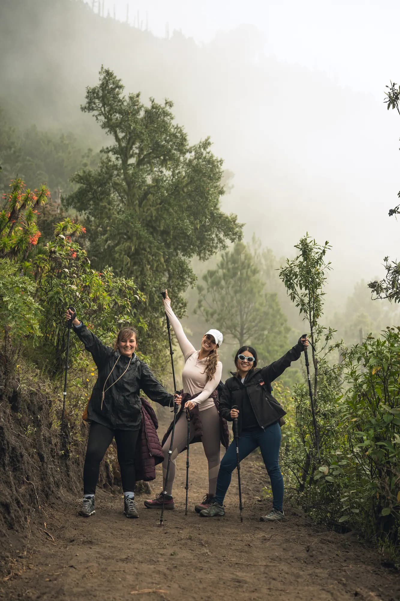 Hikers raising their arms in the forest