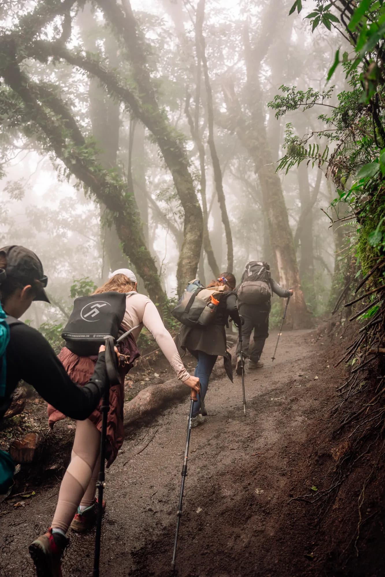 Hikers pushing uphill in the fog
