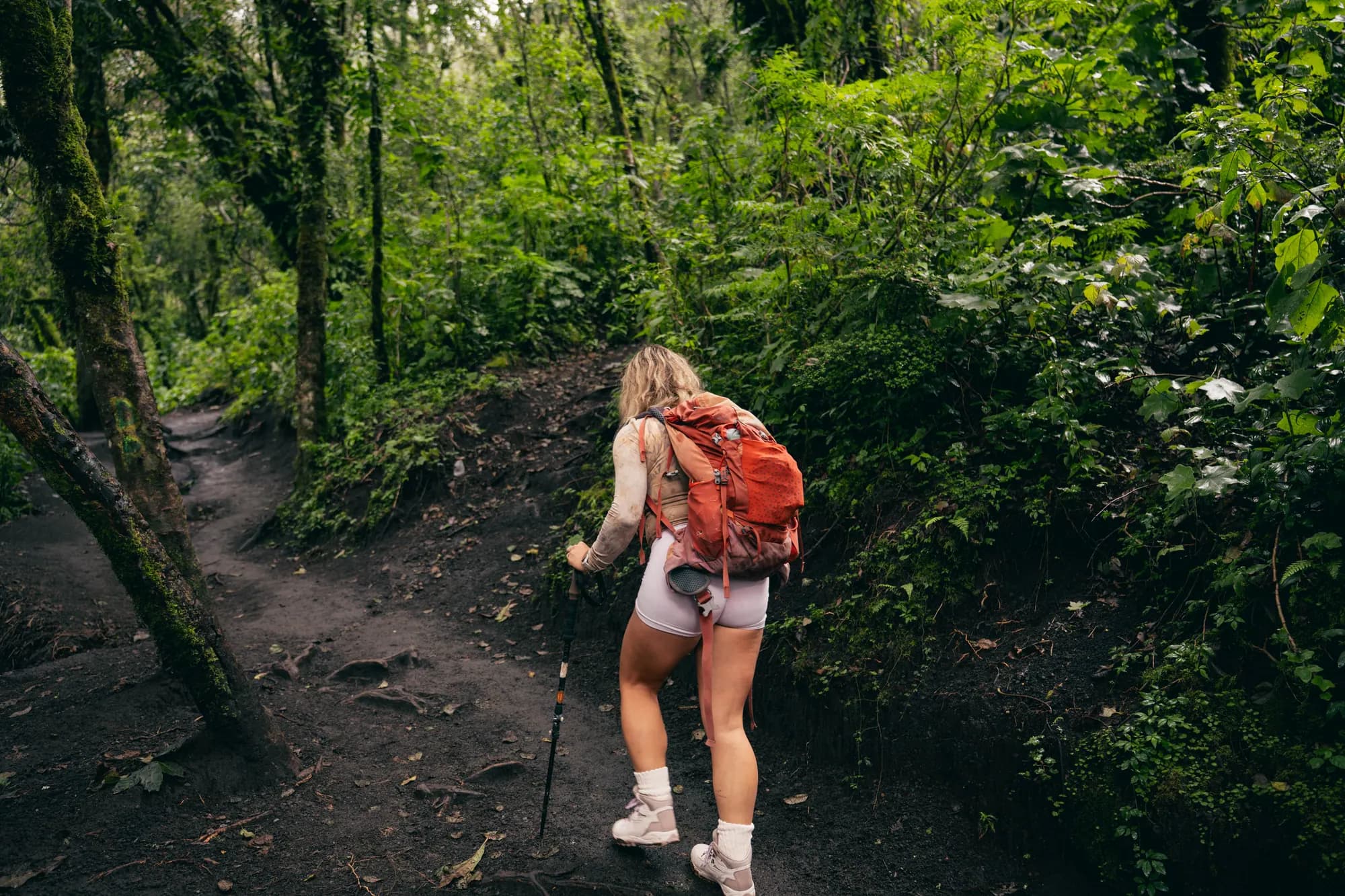 A hiker with a red backpack climbing through the forest